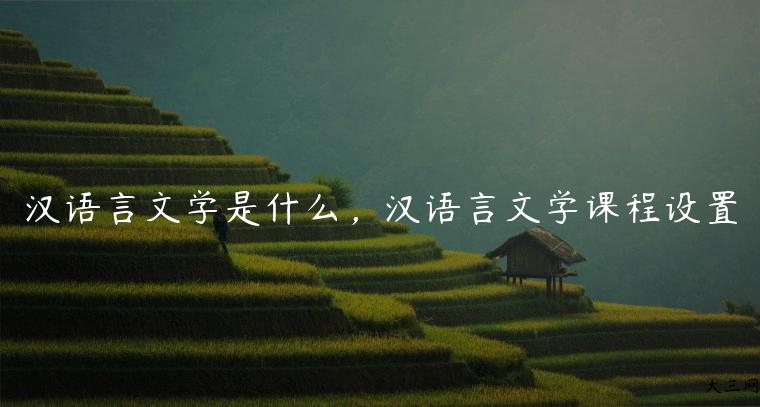 汉语言文学是什么，汉语言文学课程设置